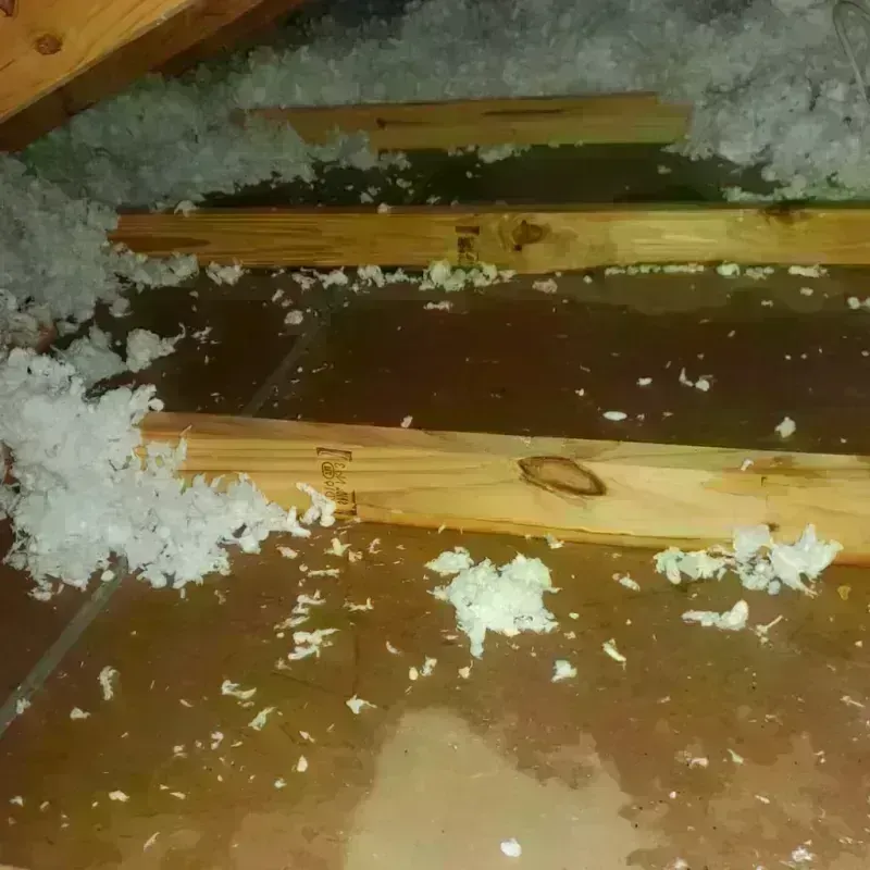 Attic Water Damage in LaMoure County, ND